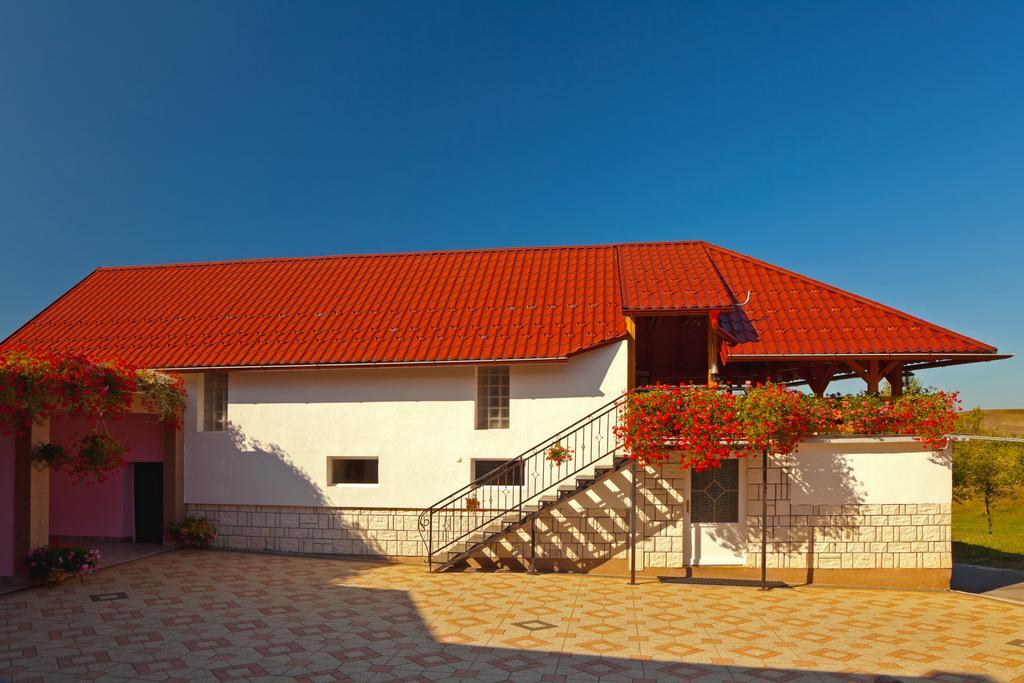 Apartment Jakovljevic Gornji Vaganac Rum bild