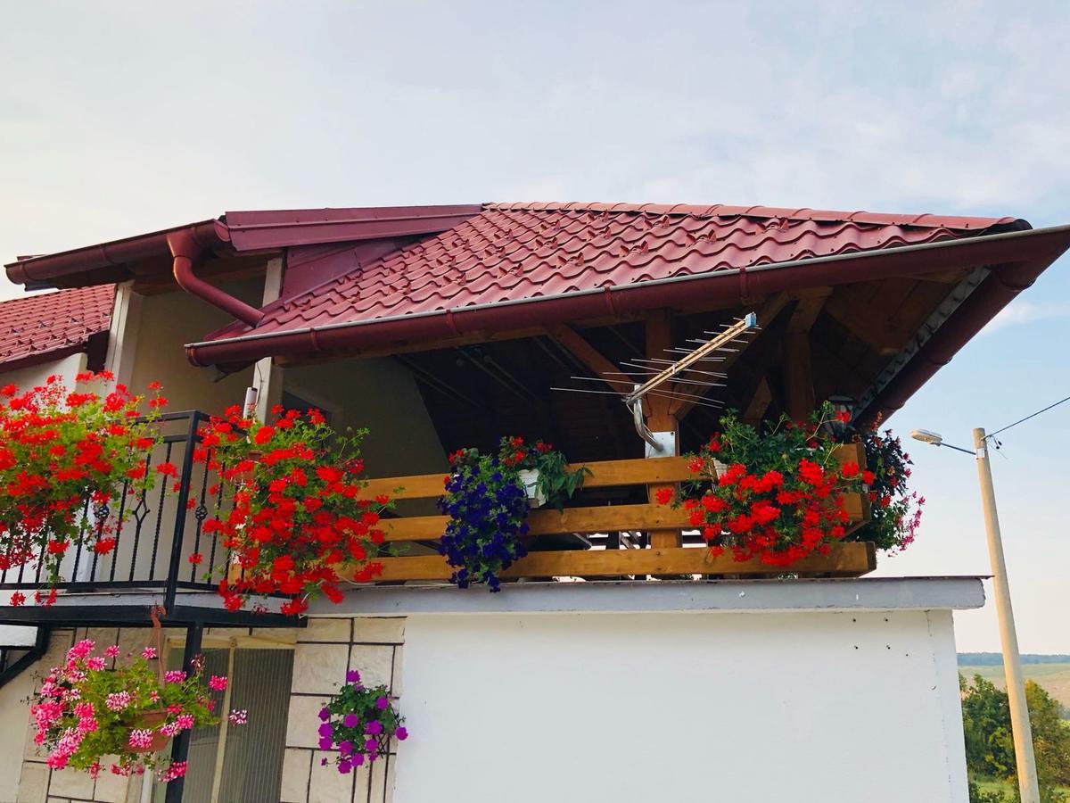 Apartment Jakovljevic Gornji Vaganac Exteriör bild